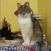 Отзыв от Алена Богданова